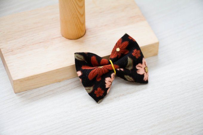 Barrette Cassandre 